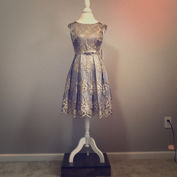 NWT Eliza J Embroidered Mesh Fit and Flare Dress